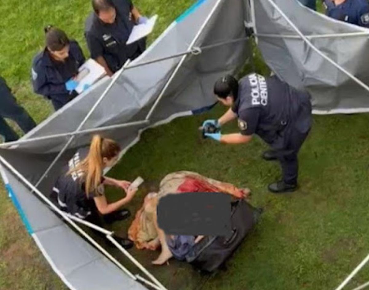 Los peritos de Policía Científica intervinieron en los restos mutilados del hombre de 83 años en la plaza donde fue hallado, en Lanús Los peritos de Policía Científica intervinieron en los restos mutilados del hombre de 83 años en la plaza donde fue hallado, en Lanús