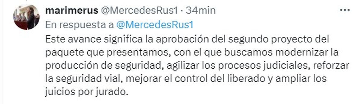 La ministra Rus celebró la aprobación del proyecto. La ministra Rus celebró la aprobación del proyecto.