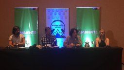 Arana y Calamaro presentaron Aconcagua Music