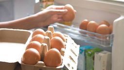 ¡No podrás creerlo! Cuánto tiempo dura el huevo dentro de la heladera