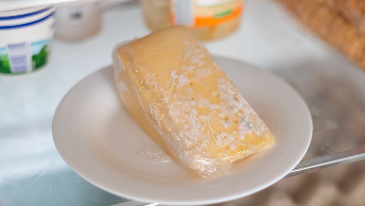 Queso con hongos en la heladera. Queso con hongos en la heladera. 