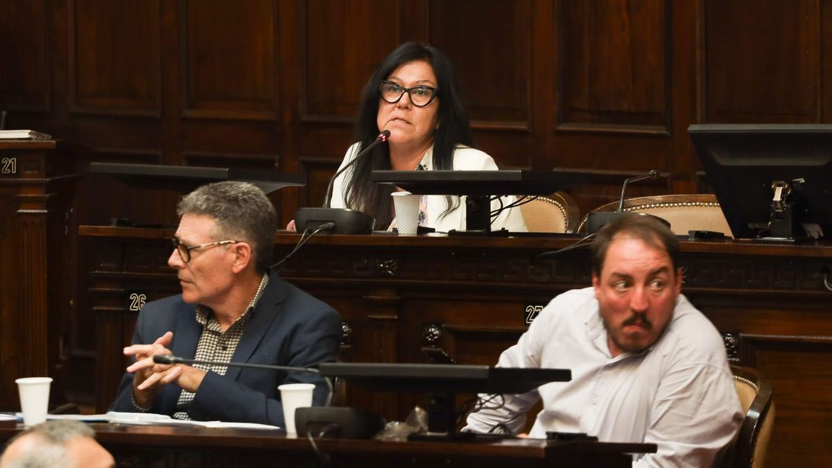 Gerardo Vaquer y Elio Perviú votaron en contra del proyecto minero de explotación de cobre de Uspallata. Gerardo Vaquer y Elio Perviú votaron en contra del proyecto minero de explotación de cobre de Uspallata.