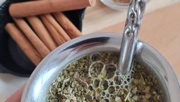 Beneficio de tomar mate con canela, un talismán para atraer dinero.