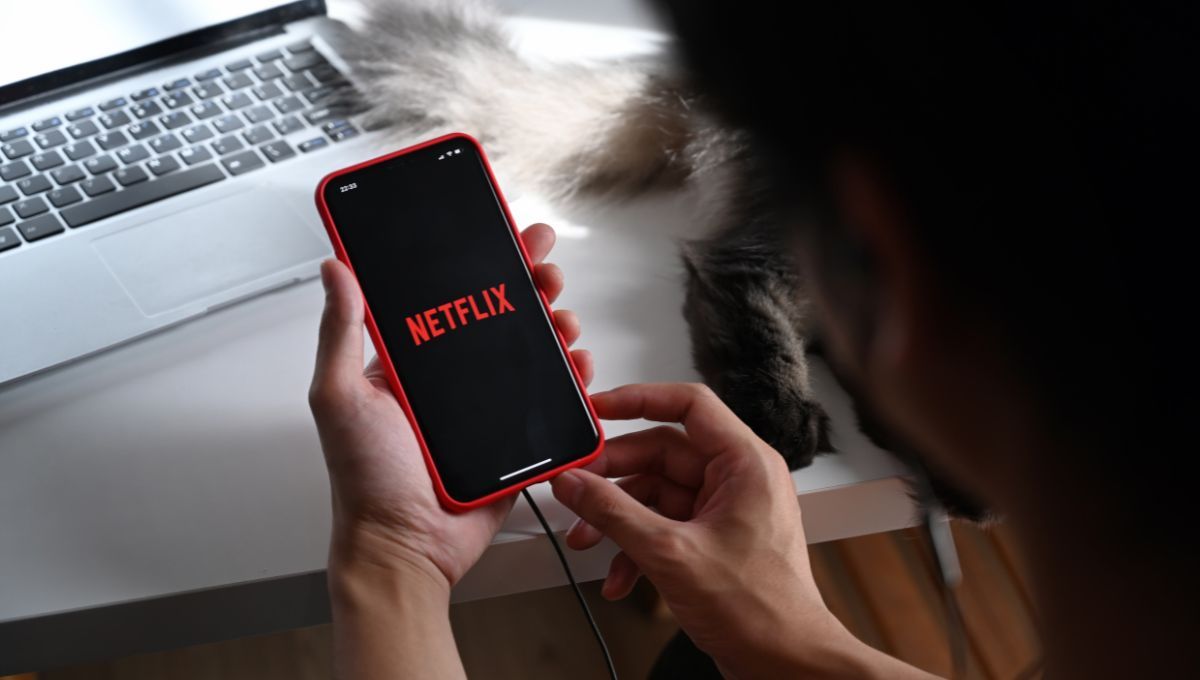ARCA habilitó la devolución de percepciones por el pago de Netflix en dólares. ARCA habilitó la devolución de percepciones por el pago de Netflix en dólares. 