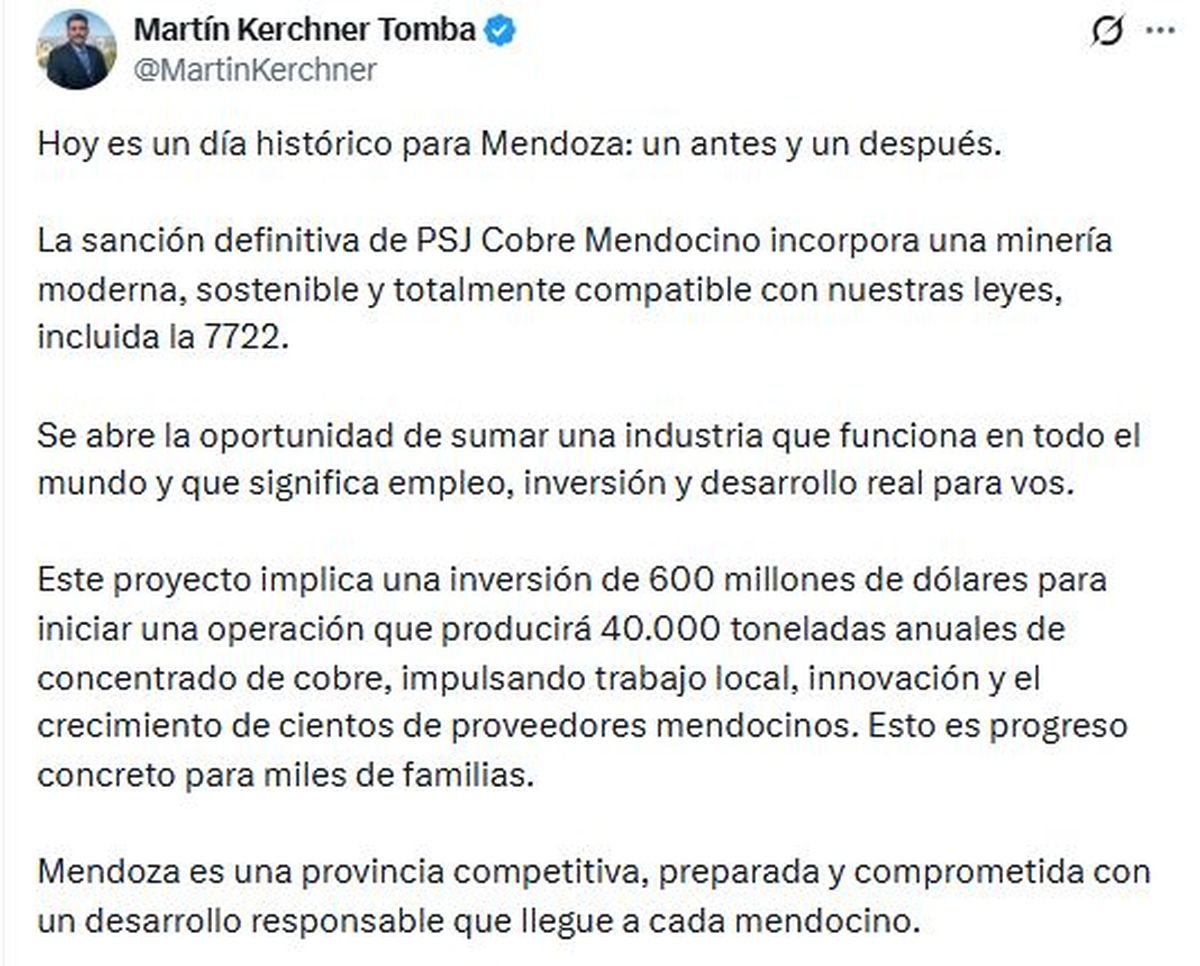El mensaje del senador Martín Kerchner.