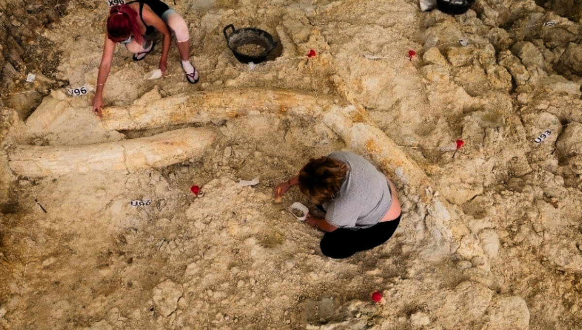 Granada fue el escenario de un histórico descubrimiento arqueológico