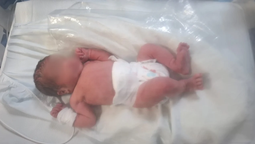 No podés. Una beba de 36 semanas fue abandonada en un tacho de basura. No podés. Una beba de 36 semanas fue abandonada en un tacho de basura.