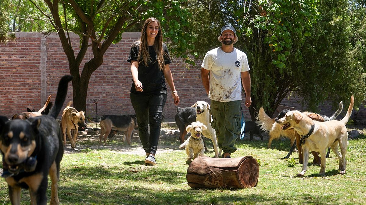 Adriana Migliore y Alan Elías son pareja y fundaron la guardería de perros y gatos The Pet, en Perdriel, Luján de Cuyo. Adriana Migliore y Alan Elías son pareja y fundaron la guardería de perros y gatos The Pet, en Perdriel, Luján de Cuyo.