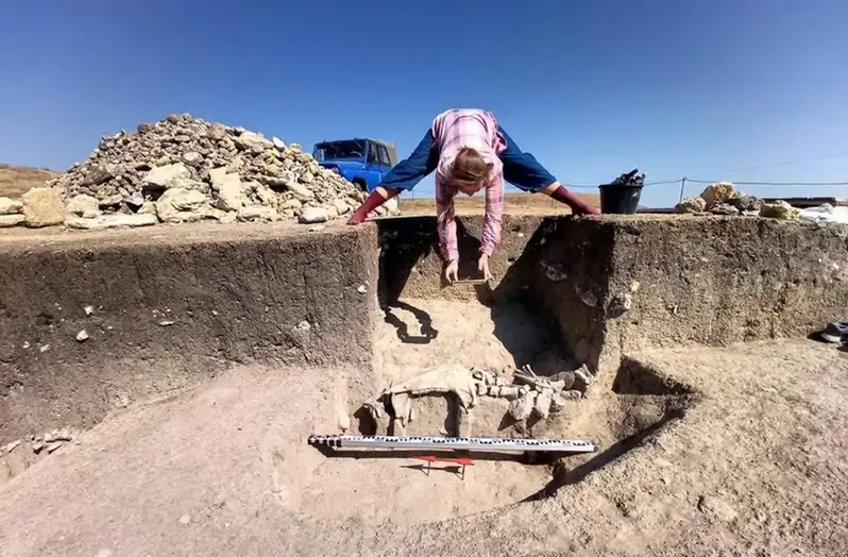 Los especialistas intentarán revelar el mensaje oculto a partir de ahora. Los especialistas intentarán revelar el mensaje oculto a partir de ahora. 