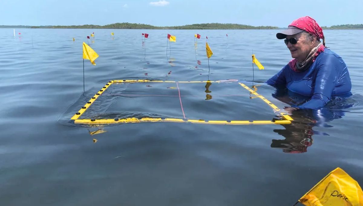 Descubrimiento histórico en Belice: la antigua casa maya congelada en el tiempo