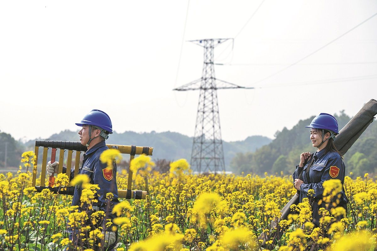 Electricistas en camino a revisar instalaciones eléctricas en una plantación de vegetales en Wuzhou, región autónoma de la etnia zhuang de Guangxi. HE HUAWEN / PARA CHINA DAILY