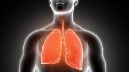 Encuentran técnica para regenerar pulmones para transplantes