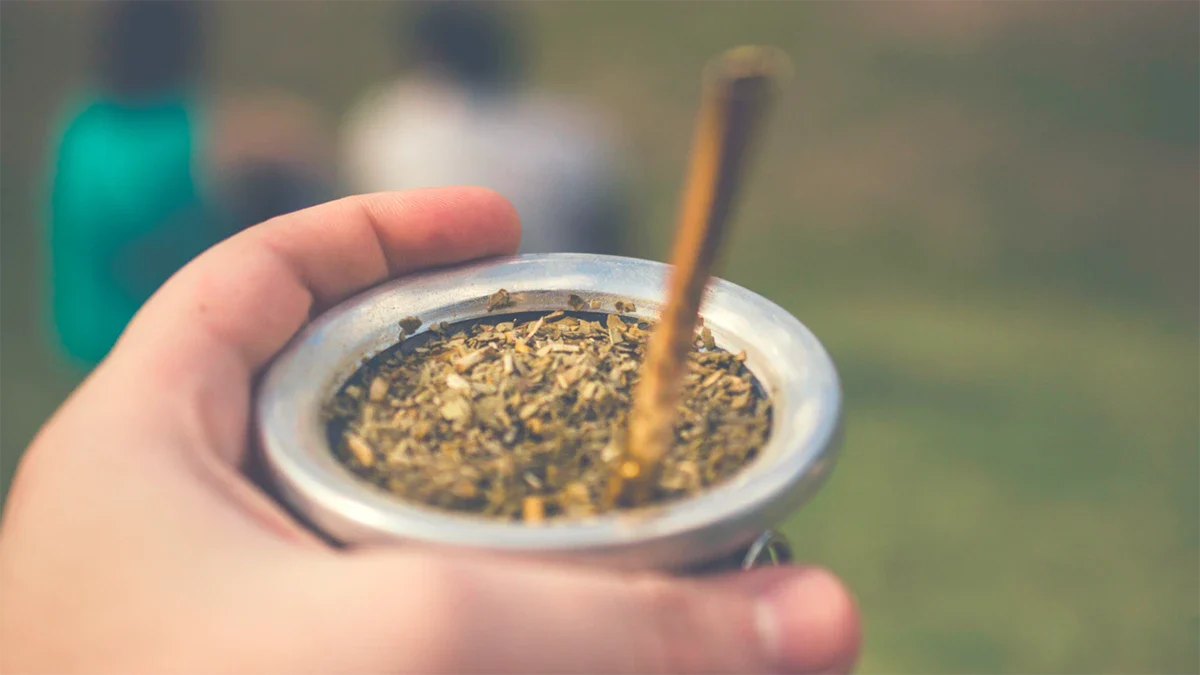 El hecho de que la bombilla del mate tire espuma es algo completamente normal El hecho de que la bombilla del mate tire espuma es algo completamente normal