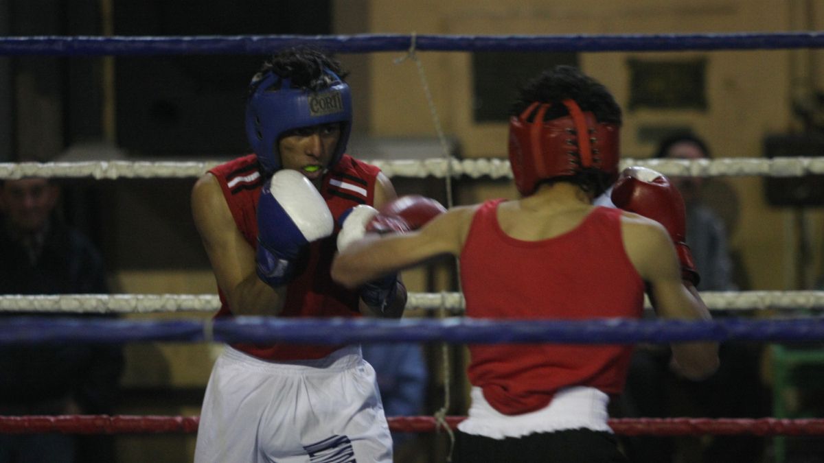 El Torneo vendimia es un clásico del calendario del boxeo amateur de Mendoza. El Torneo vendimia es un clásico del calendario del boxeo amateur de Mendoza.