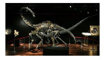 Vendieron dos esqueletos de dinosaurio en 1,4 millones de euros cada uno