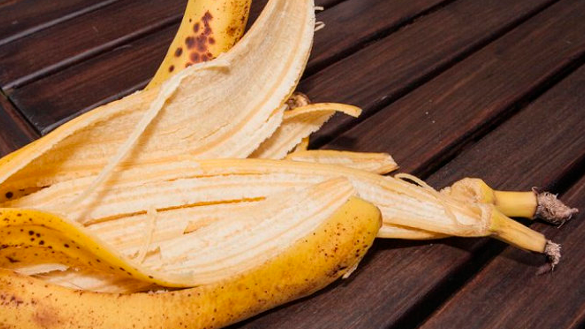 La cáscara de banana aporta magnesio y fósforo al suelo.