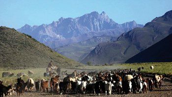 Dos trabajos mendocinos compiten en el FICSUR