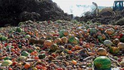 La ONU mostró como en un mundo con millones de personas con hambre se sigue desperdiciando los alimentos.