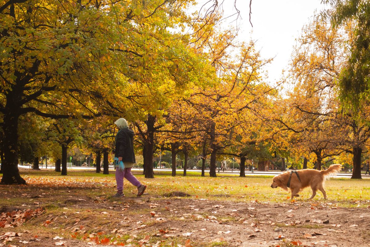 Pronóstico del tiempo en Mendoza para toda la semana: este domingo estará nublado y frío