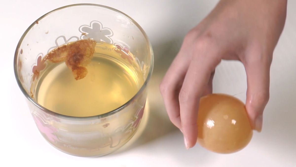 Deja el huevo en el vaso con vinagre durante varias horas. Deja el huevo en el vaso con vinagre durante varias horas.