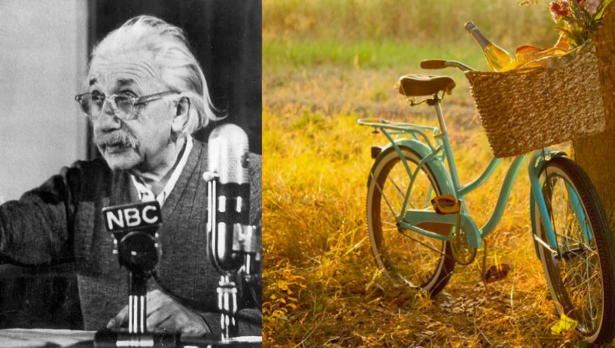 La lección de Albert Einstein para no perder la estabilidad en nuestro paso por la vida. La lección de Albert Einstein para no perder la estabilidad en nuestro paso por la vida.