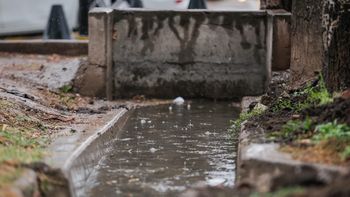 Tormenta en Mendoza: se esperan chaparrones de gran intensidad este día de la semana Tormenta en Mendoza: se esperan chaparrones de gran intensidad este día de la semana