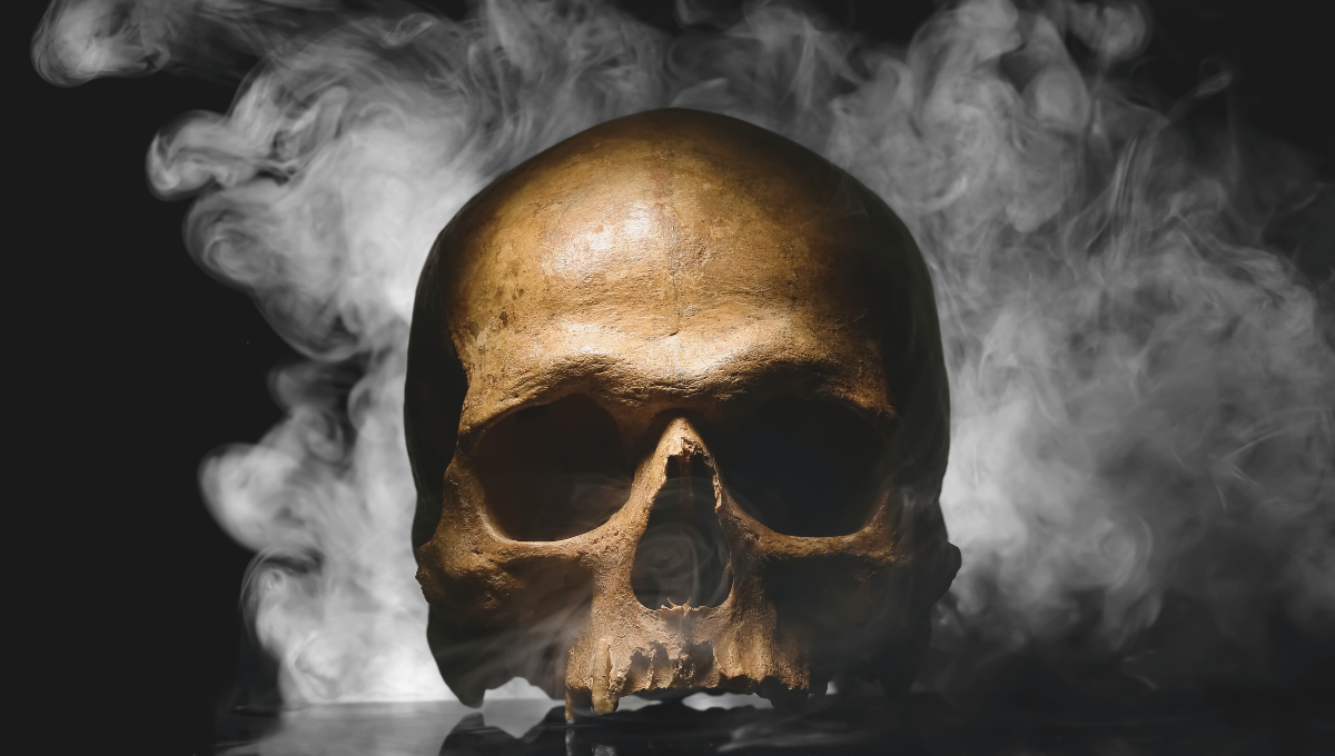 Esto es lo que pasará si los humanos desaparecen del planeta luego del fin del mundo