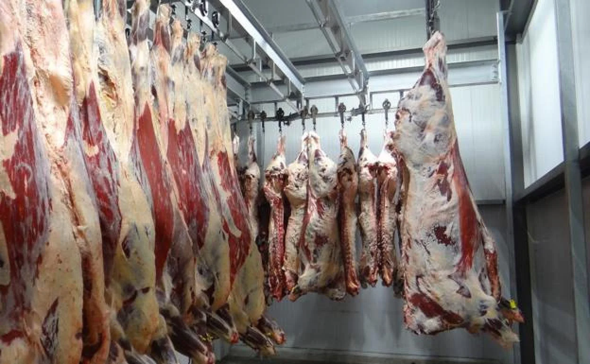 Atención: clausuraron un matadero clandestino que ofrecía carne de caballo y de mulas