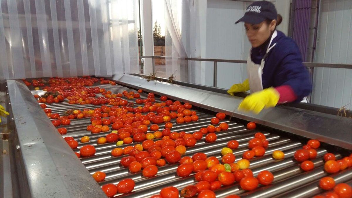 Las fábricas de salsa de tomate y mermeladas de Mendoza requieren de gas para funcionar.