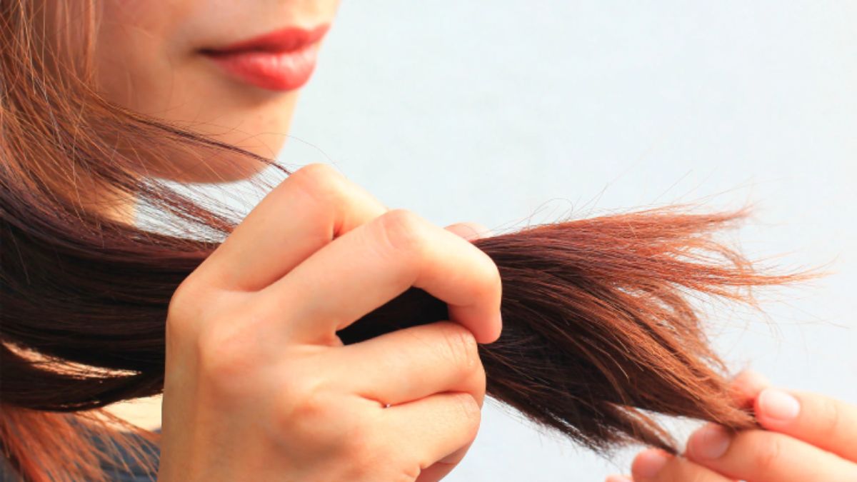 4 trucos caseros para recuperar el cabello seco y maltratado