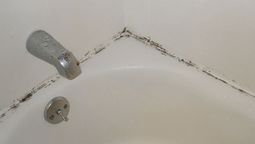 El baño, por la abundante presencia de humedad, está muy propenso a producir moho en el lavatorio, bañera de la duña y otros rincones.