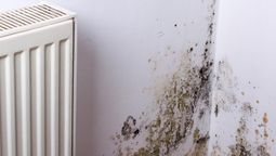 Las manchas de humedad se pueden quitar fácilmente con trucos caseros.