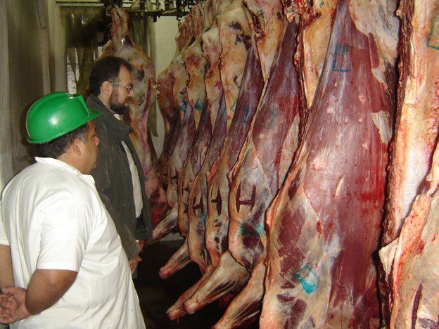 El Gobierno descartó que vaya a faltar carne