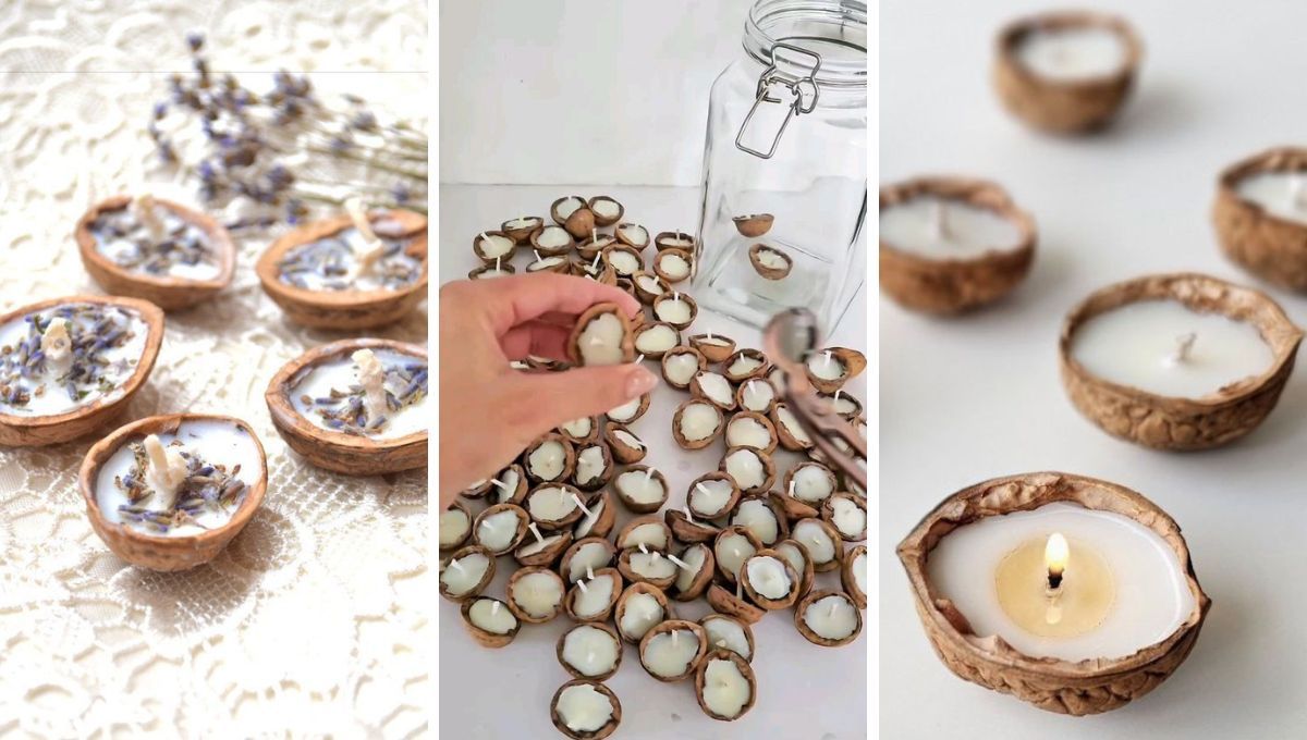 Cáscaras de nueces recicladas. Cáscaras de nueces recicladas.