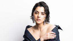 Está en Netflix y con 6 capítulos es la serie más elegida del año
