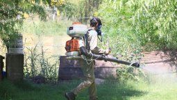 El aumento de la temperatura se volvió el mejor amigo del dengue El aumento de la temperatura se volvió el mejor amigo del dengue