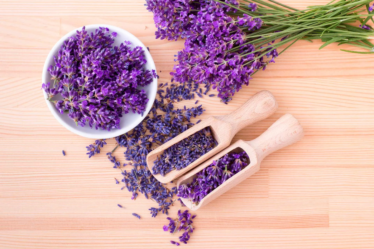 Prueba esta idea para aromatizar tu casa. Imagen: Pixabay