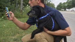 Pokemon Go: piden que paseen perros... o que los perros los paseen
