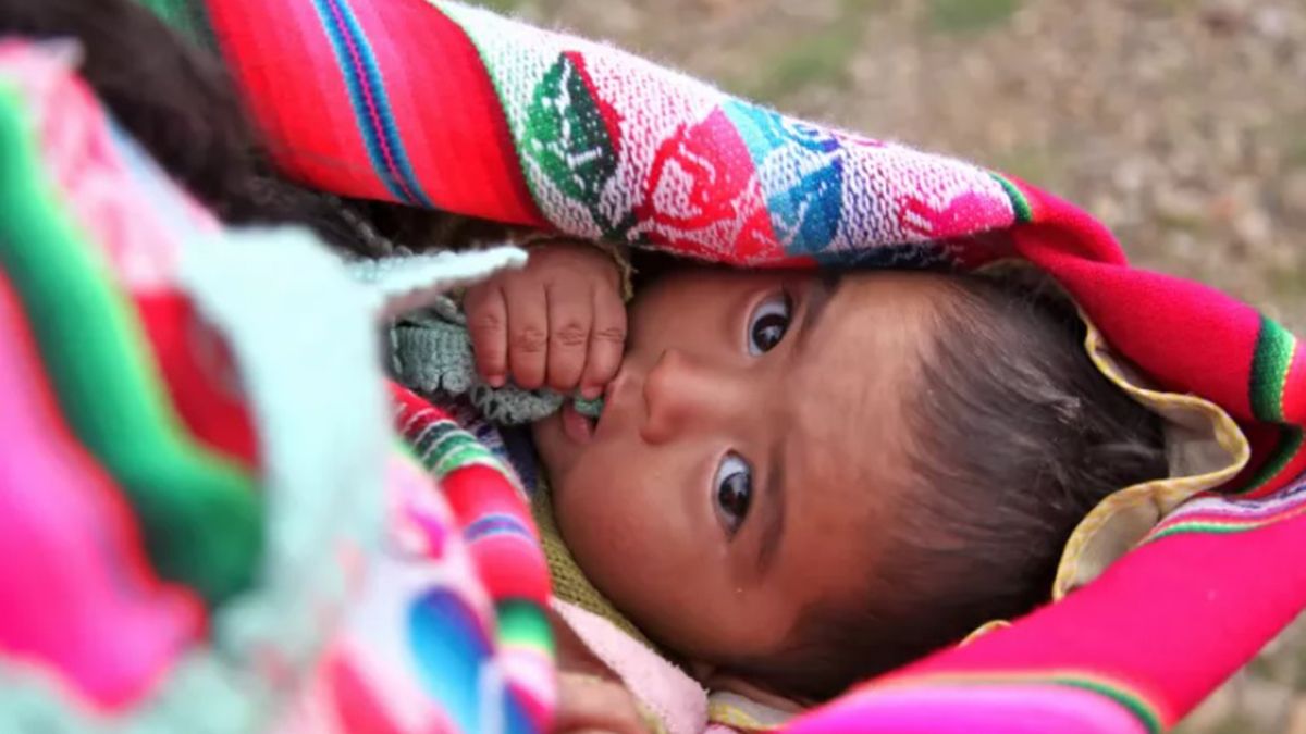 El objetivo de UNICEF es adaptar el sistema de salud a zonas rurales, de pobreza o pertenencia a comunidades indígenas u originarias El objetivo de UNICEF es adaptar el sistema de salud a zonas rurales, de pobreza o pertenencia a comunidades indígenas u originarias