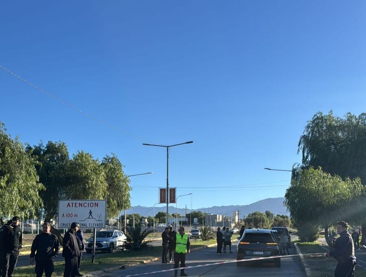 La mujer falleció en el lugar. La mujer falleció en el lugar.