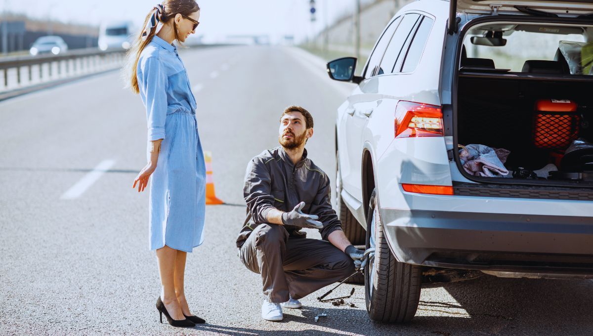 Fuente canva Fuente canva