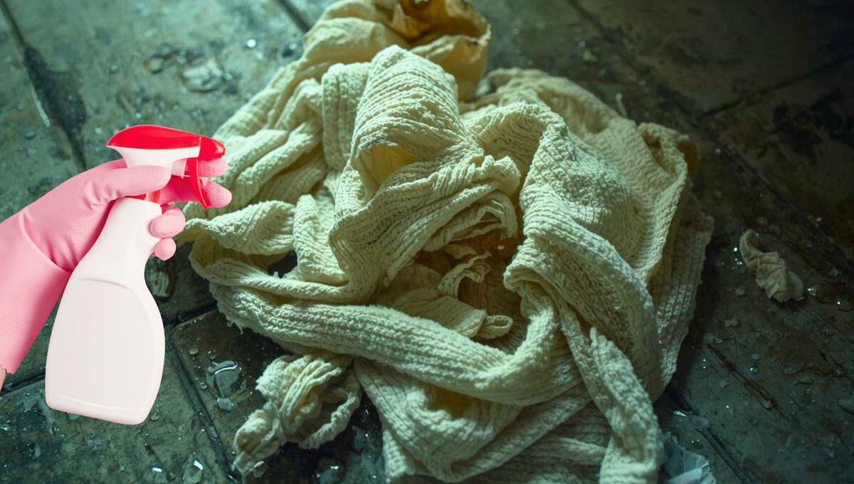 Trucos caseros que sí funcionan: cómo limpiar y blanquear el trapo de piso del baño