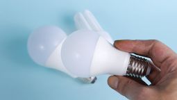 Recicla los focos quemados y crea este hermoso objeto original para decorar tu casa