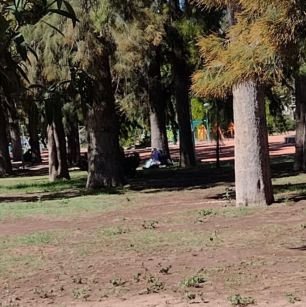 Captura de video. Captura de video.