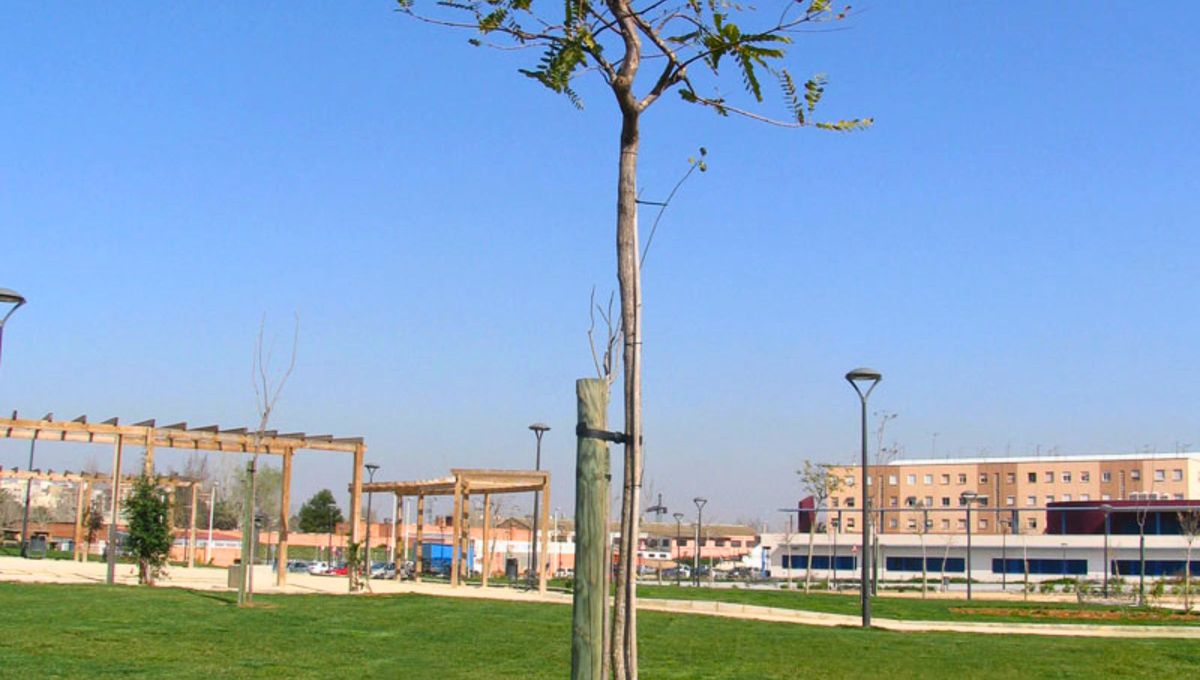 El uso de tutores de madera es imprescindible para árboles recién plantados, algunas especies de arbustos y hortalizas. 