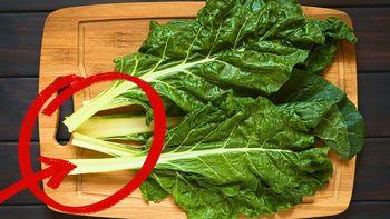 No tires el tallo de la acelga y transfórmala en un tesoro: cómo y para qué sirve No tires el tallo de la acelga y transfórmala en un tesoro: cómo y para qué sirve