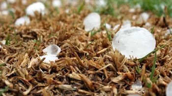 Alerta naranja: actividad eléctrica, granizo y ráfagas de hasta 90 km/h Alerta naranja: actividad eléctrica, granizo y ráfagas de hasta 90 km/h