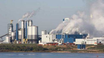 ¿Otro conflicto en puerta? Uruguay anunció una nueva megaplanta de celulosa
