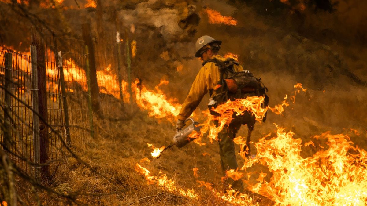 Incendios forestales en Estados Unidos: cuáles son las causas por las que se producen Incendios forestales en Estados Unidos: cuáles son las causas por las que se producen
