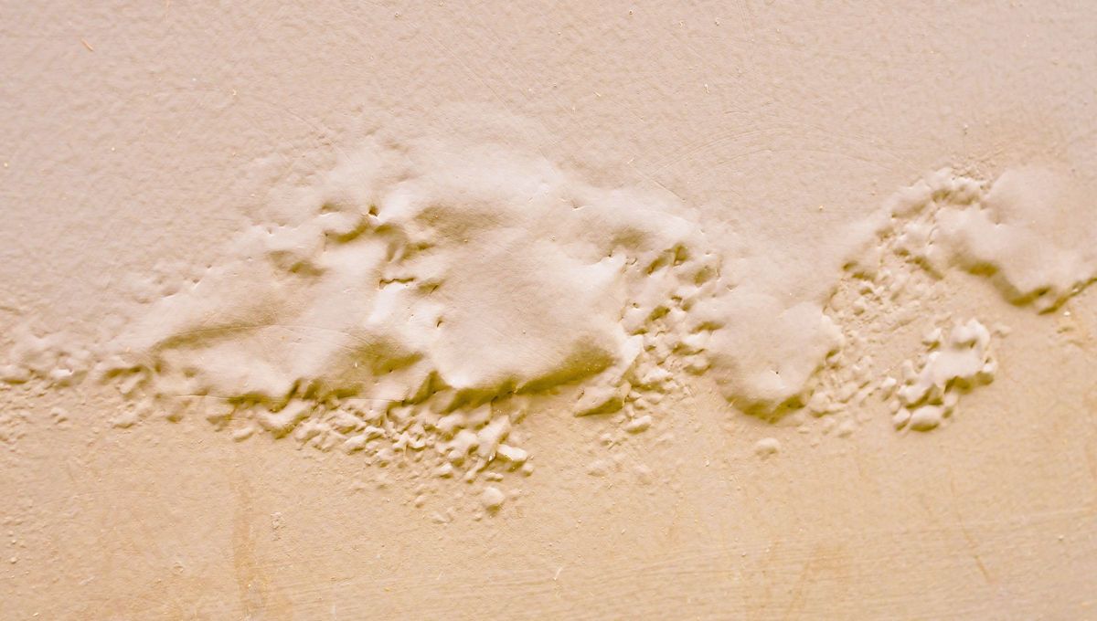 Este problema es muy común en varias casas. Este problema es muy común en varias casas.